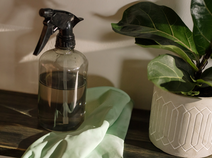 Why Using Eco-Friendly Cleaning Supplies Is So Important